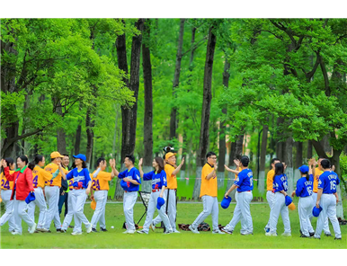 Baseball Game