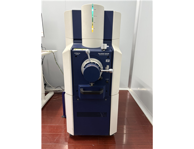 Scanning Electron Microscope (SEM)