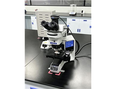 Hitachi Tungsten‑filament SEM