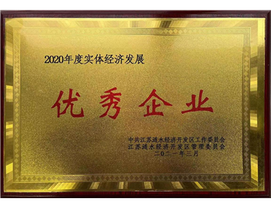 2020年 实体经济发展优秀企业2